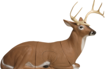 FITA 3D-srnjak